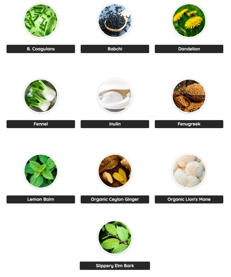 PrimeBiome ingredients